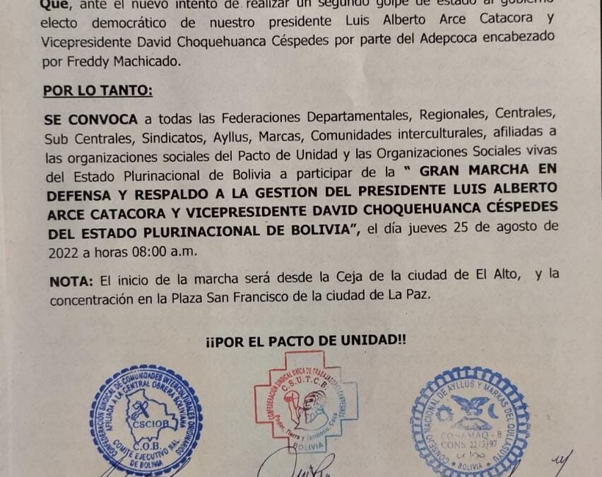 GRAN MARCHA EN DEFENSA AL PRESIDENTE LUIS ARCE CATACORA Y EL VICEPRESIDENTE DAVID CHOQUEHUANCA